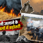 Punjab Stubble Burning