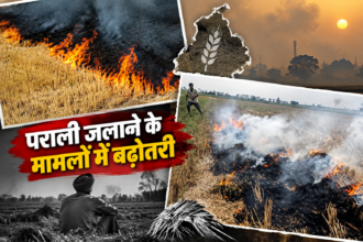 Punjab Stubble Burning