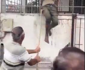 Surat Viral Video