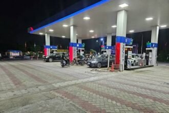 E20 Petrol Punjab